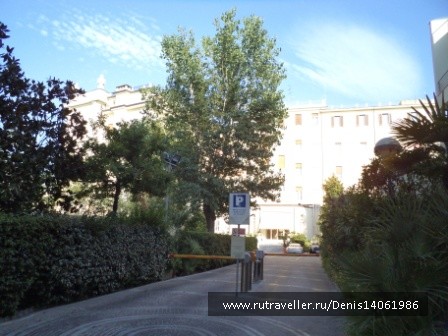 photo 382159