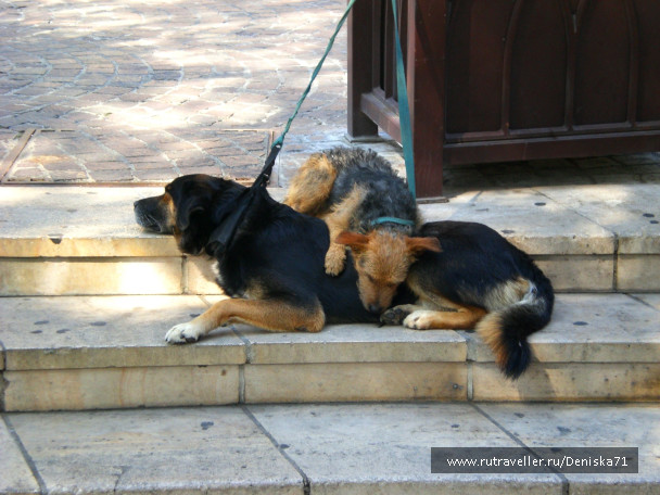 photo 1000672