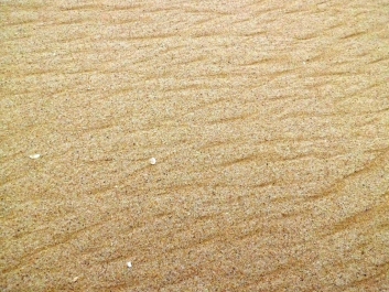 photo 899276