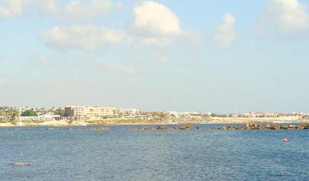 DSC02284