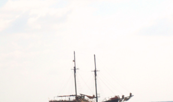 DSC02248