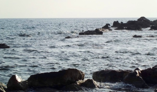 CIMG0480