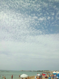 photo 726746