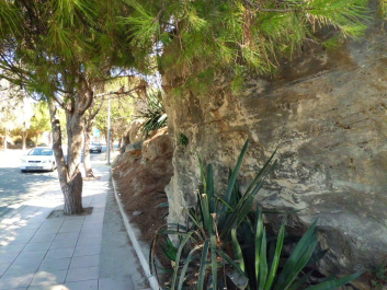 photo 726765
