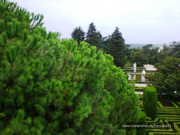 photo 799739