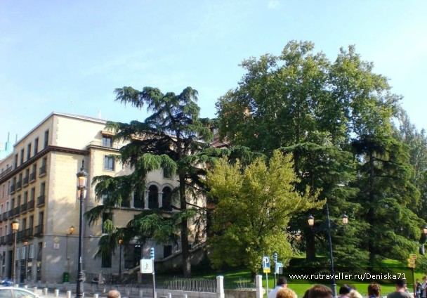 photo 799762