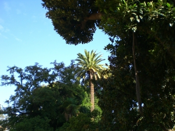 photo 811635
