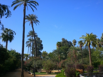 photo 811639
