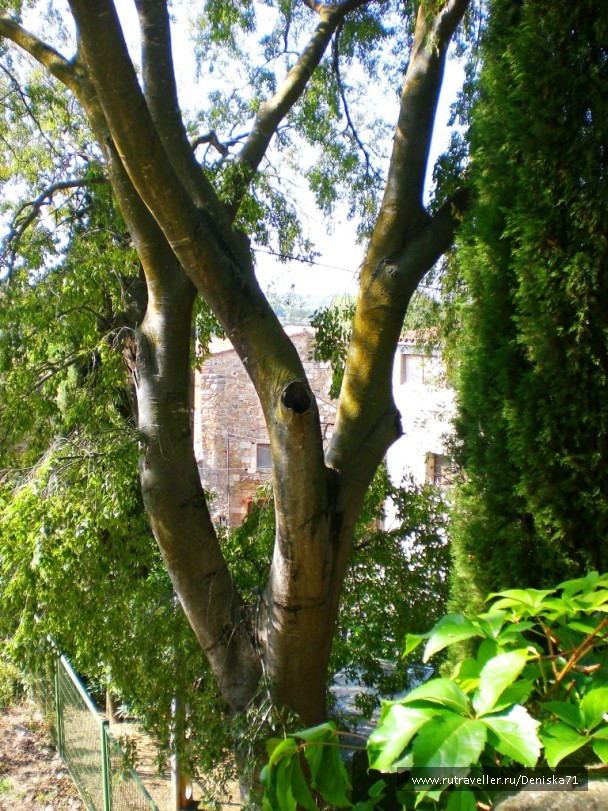 photo 912831