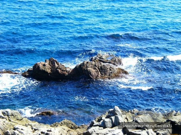photo 912858
