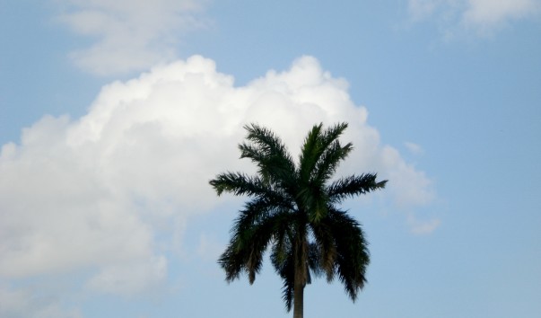 CIMG0559