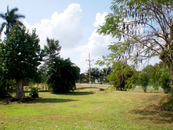 photo 975288