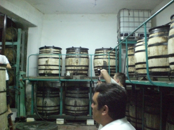 photo 934103