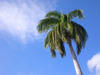 photo 947055