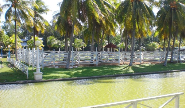 CIMG0385