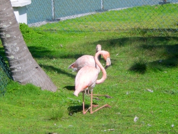 photo 960497
