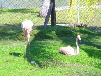 photo 960499