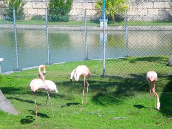 photo 960503
