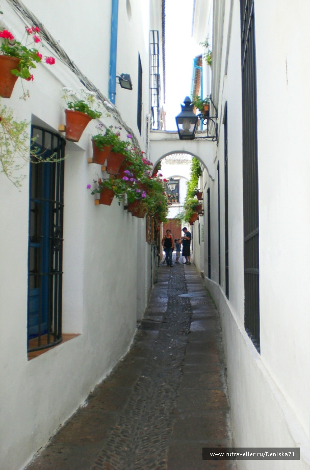 photo 1001836