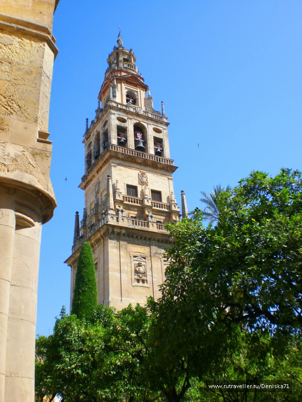 photo 1001874