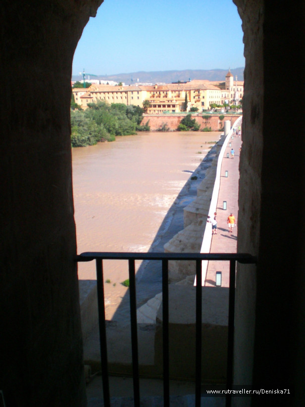 photo 1001915
