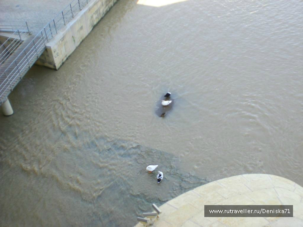 photo 1001922