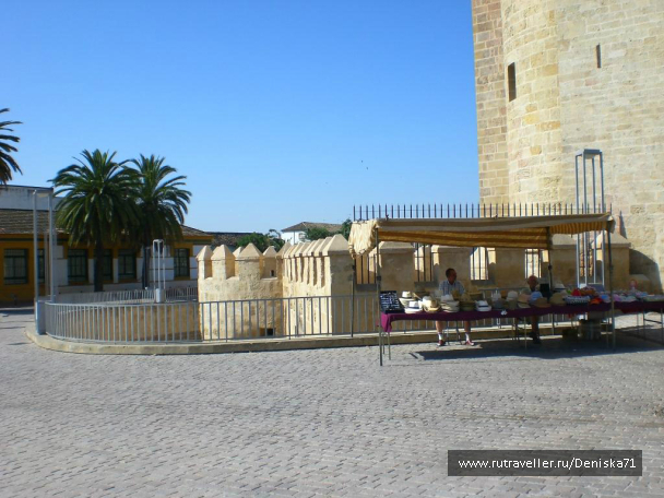 photo 1001925