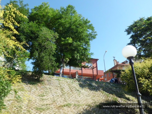 photo 1816851