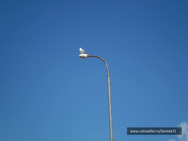 photo 1816881