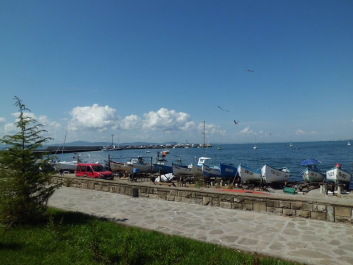 photo 1816884