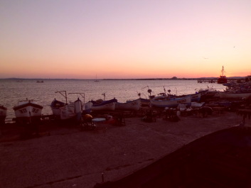 photo 1816890