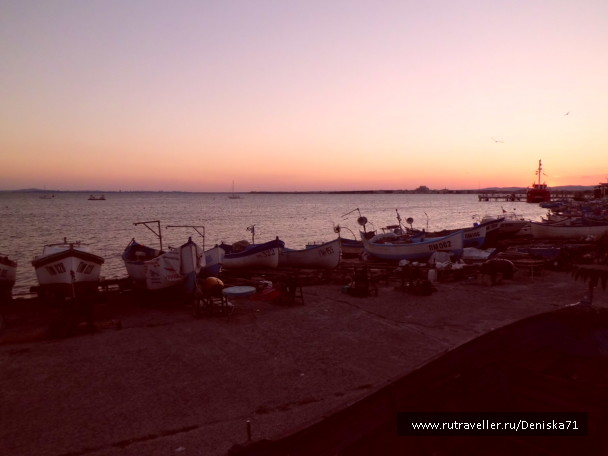 photo 1816890