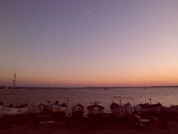 photo 1816905