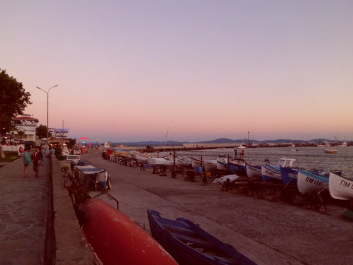 photo 1816906