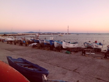 photo 1816907