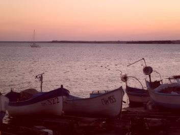 photo 1816909