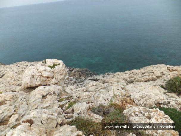 photo 107515