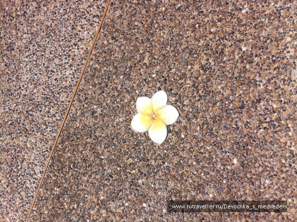 photo 420632