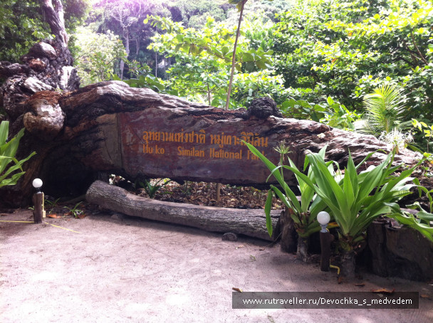 photo 420639