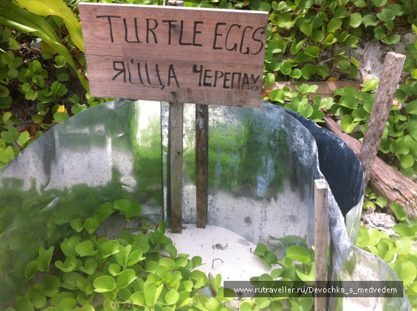 photo 420640