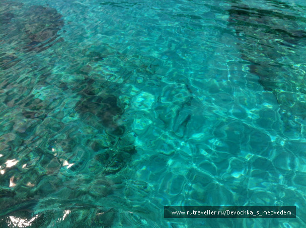 photo 420644