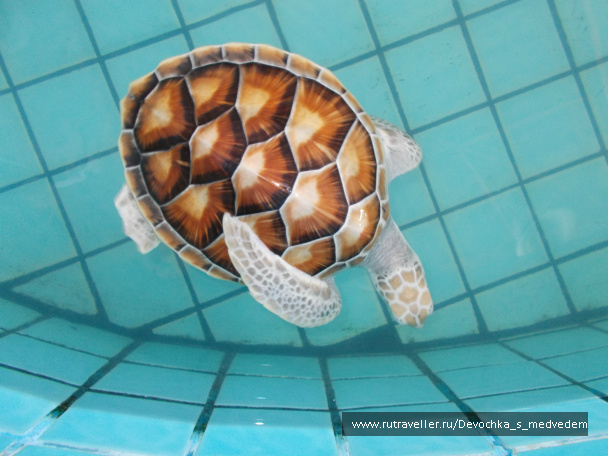 photo 434571