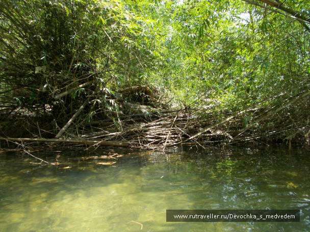 photo 434577