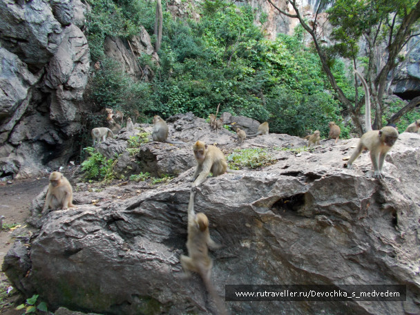 photo 434581