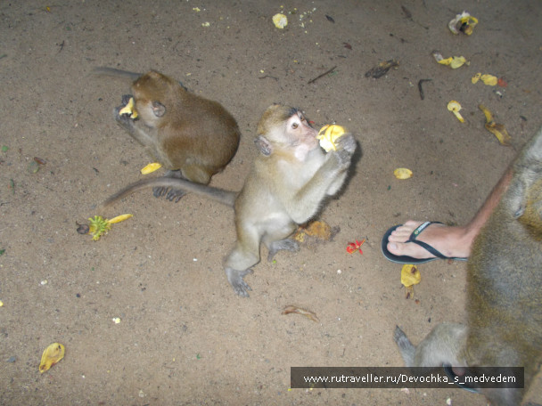 photo 434582