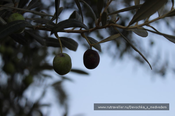 photo 574358