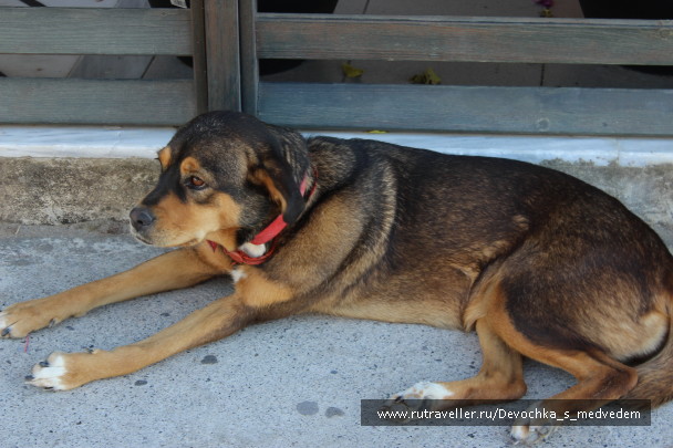 photo 574368