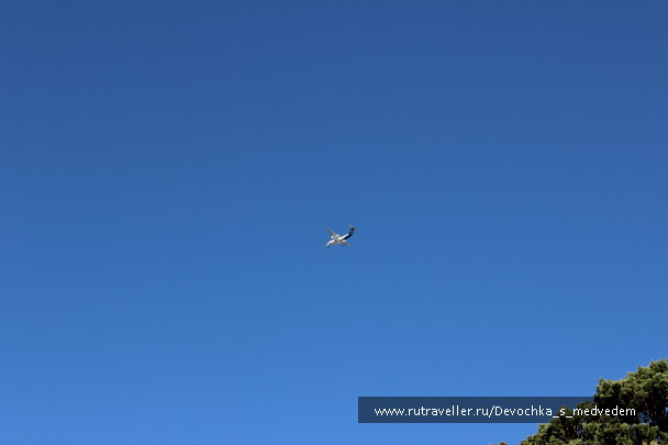 photo 574381