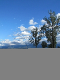 photo 743326