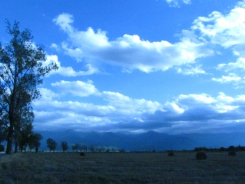 photo 743327